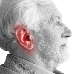 Пожилой мужчина, область уха выделена — возрастные изменения